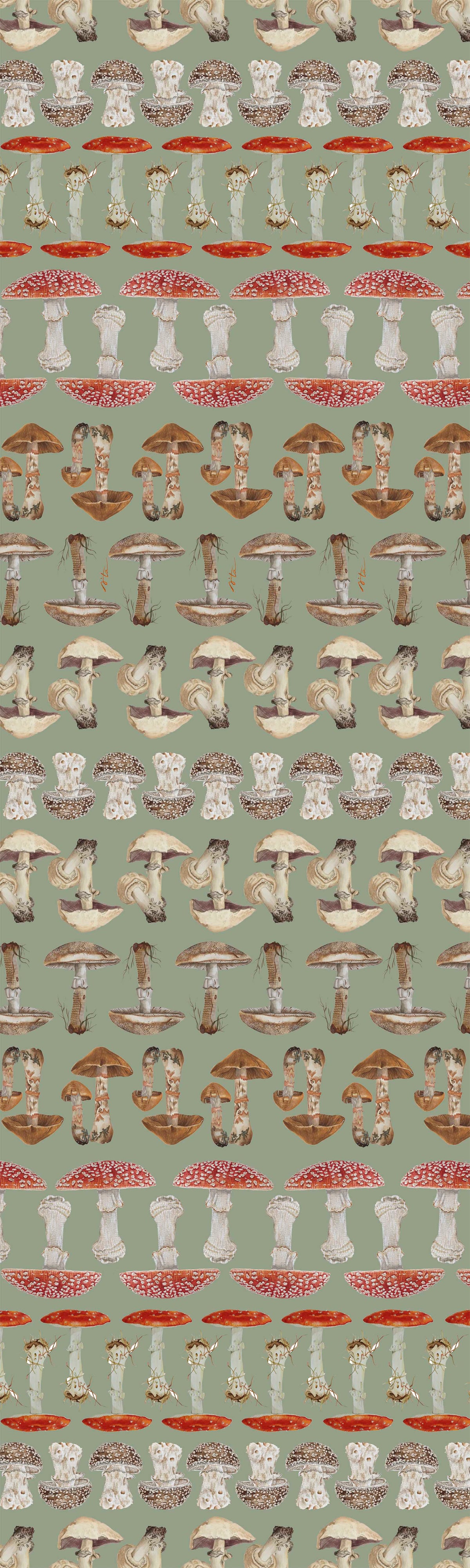 Bufanda FUNGHI