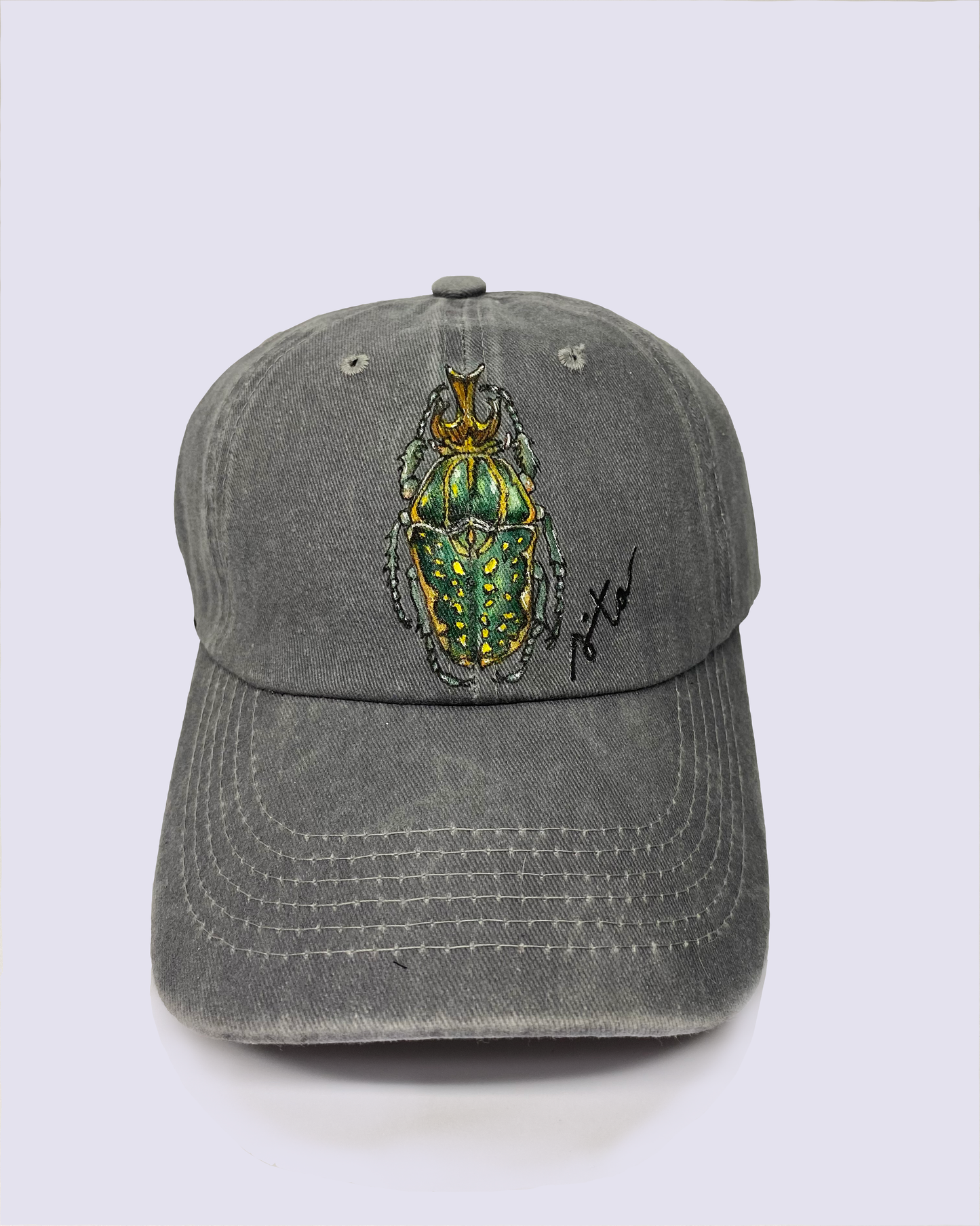 Jockey insectos