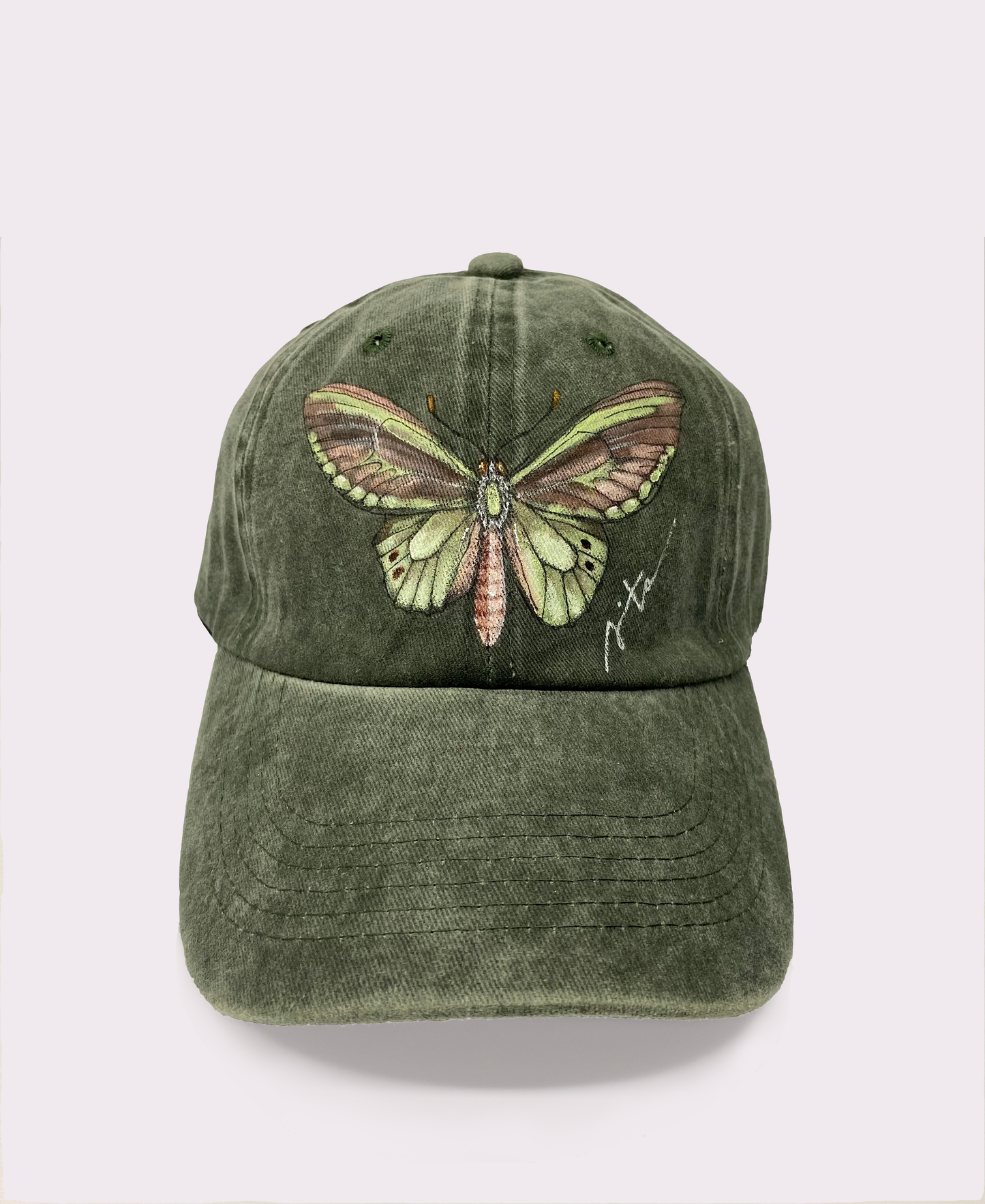 Jockey insectos