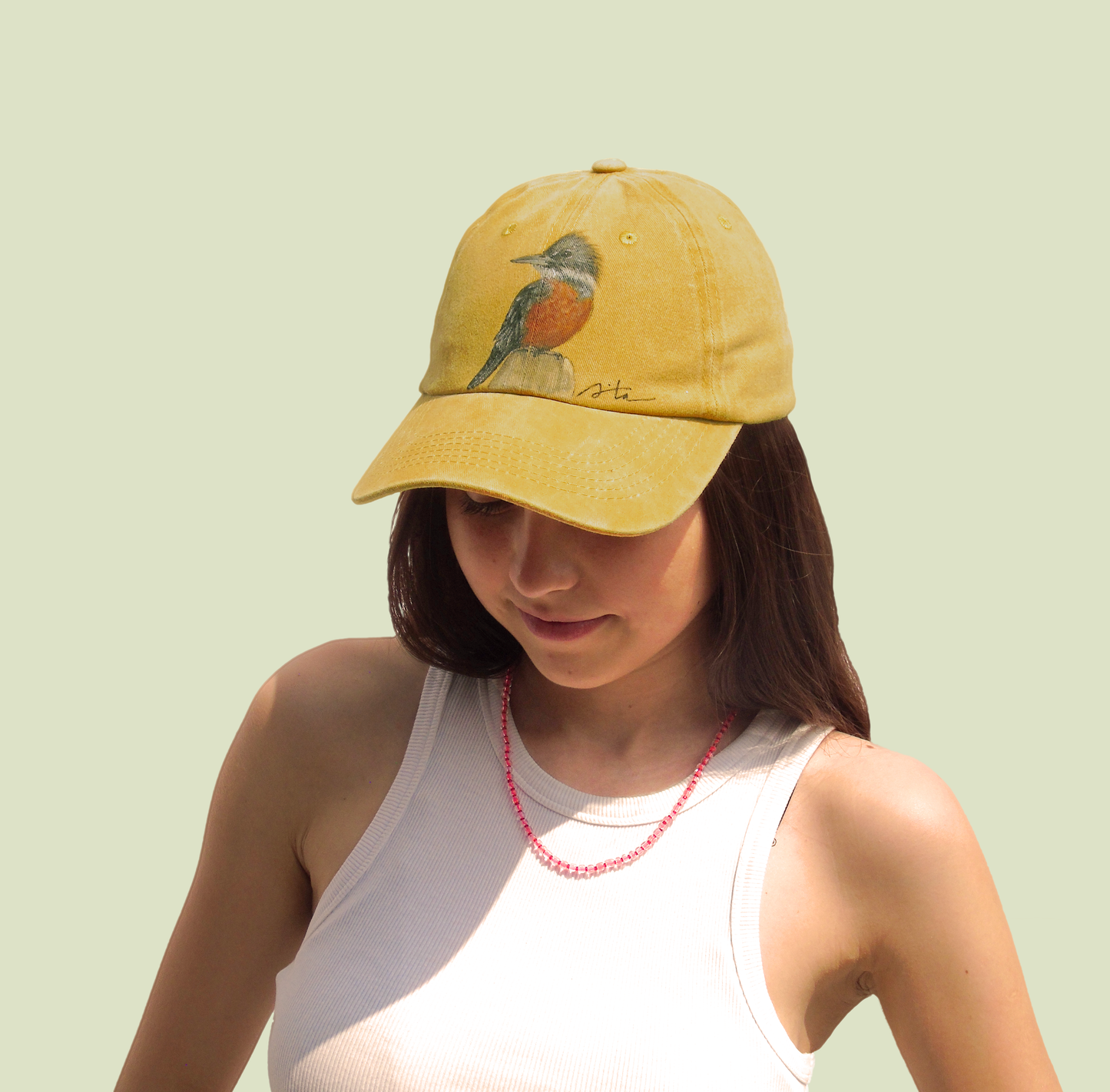 Jockey aves