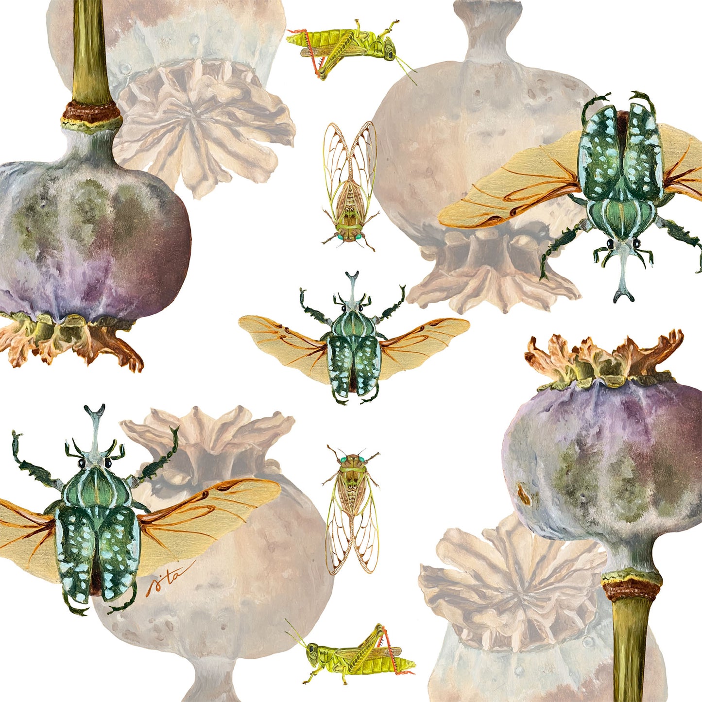 Pañuelo Semillas aladas